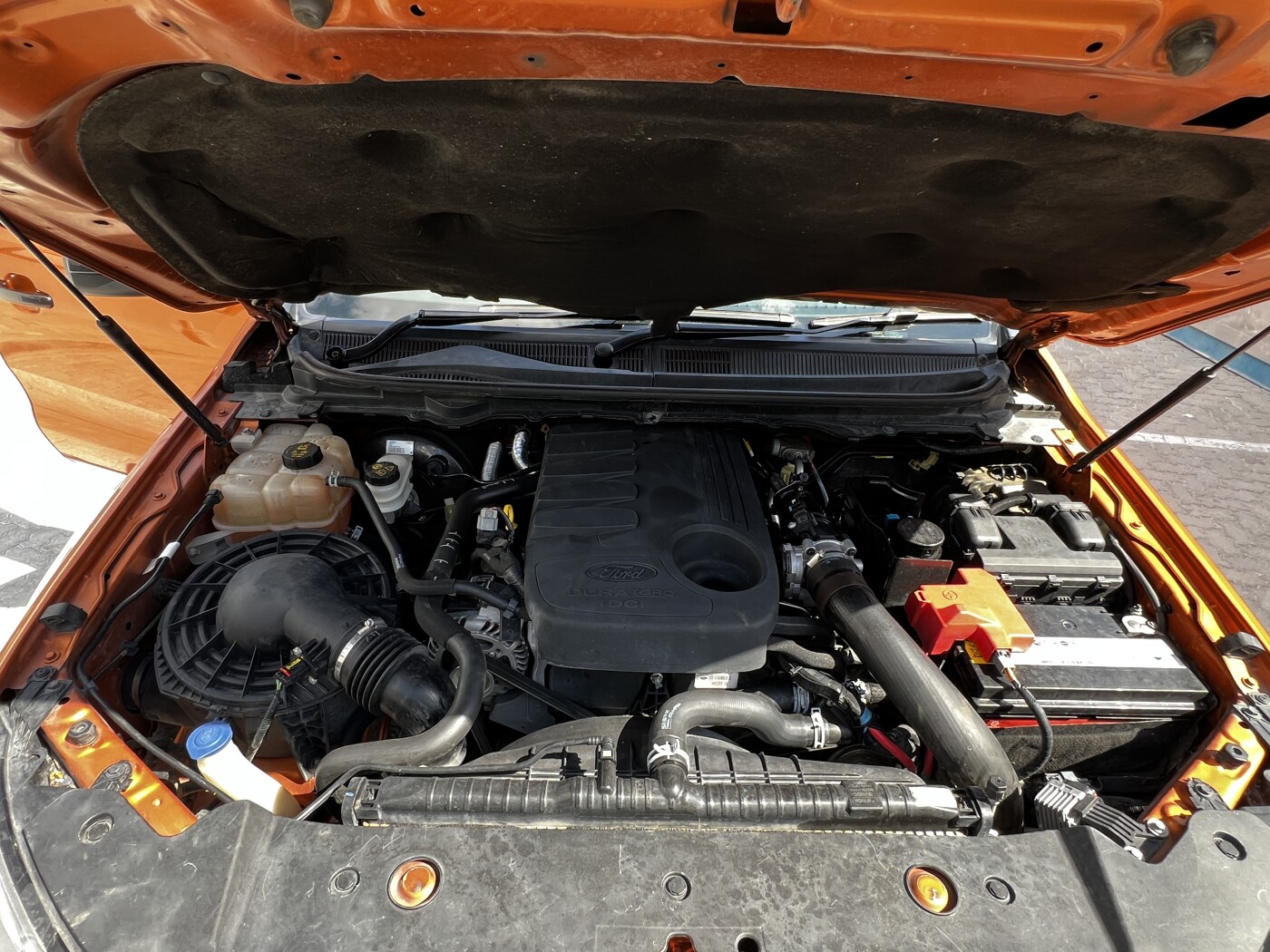 2017 Ford Ranger 3.2 Wildtrak 4x4 6AT photo 8