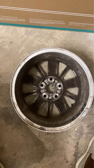 15’ Polo Rim photo 2