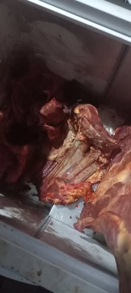 Donkey carcass photo 4