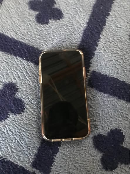 IPhone11 photo 2