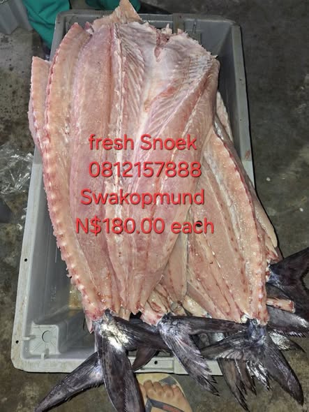 Snoek / Kabeljou photo 1