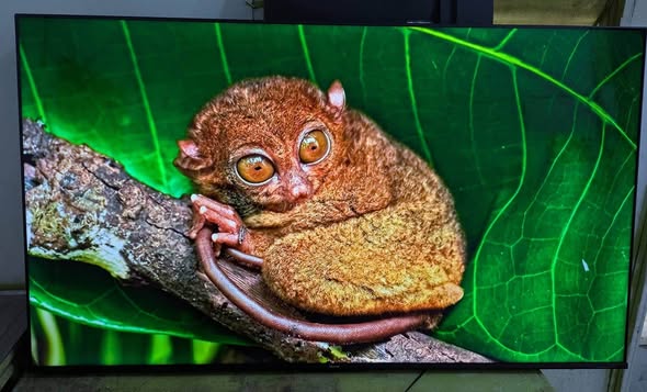 Hisense 75 inch Smart Tv photo 5