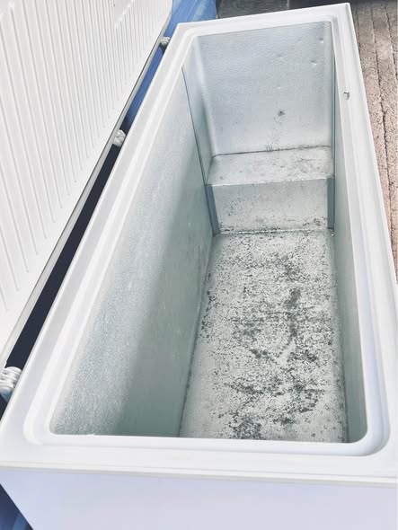 543 Liters Deep freezer photo 3