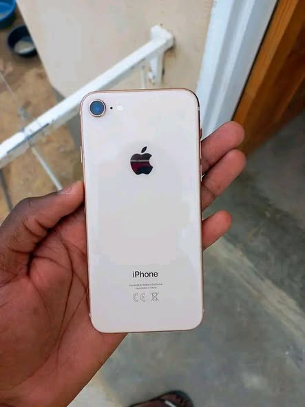 iPhone 8 photo 4