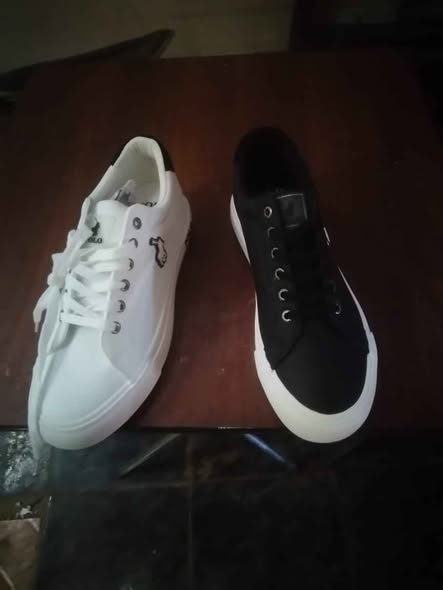 Polo sneakers photo 5
