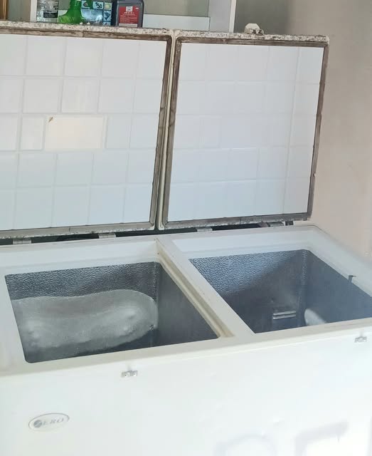 Gas and Electric Freezer & Fridge photo 1