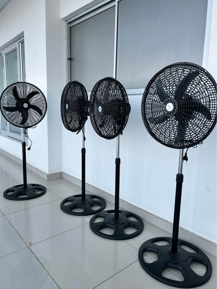 Fans photo 2