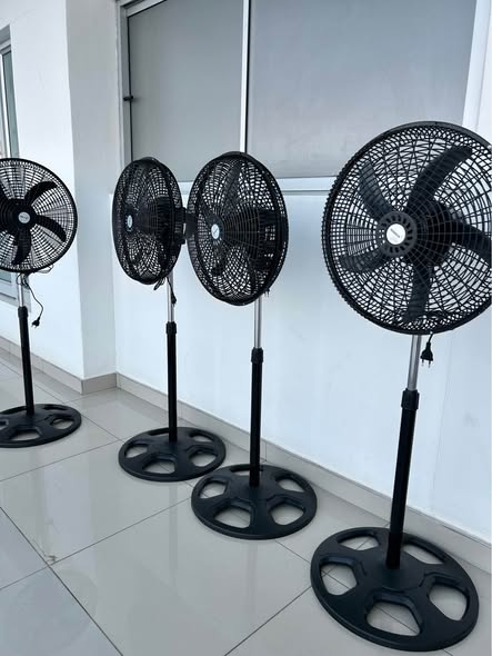 Fans photo 1