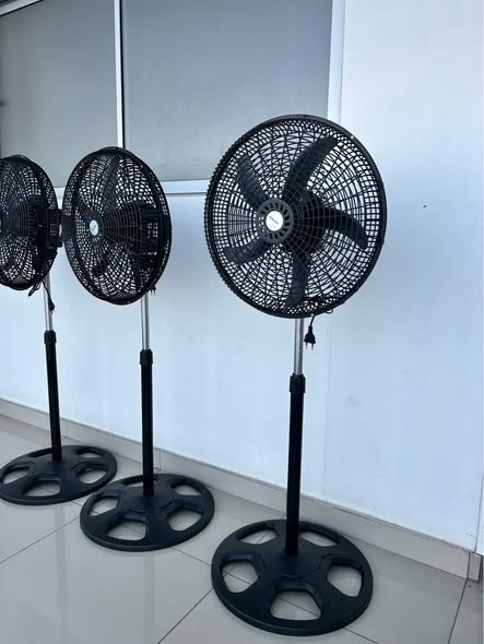 Fans photo 3