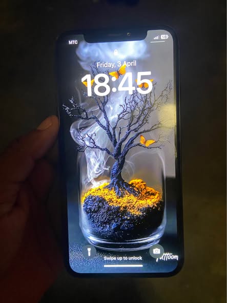 IPhone X photo 1
