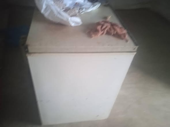 Freezer photo 3