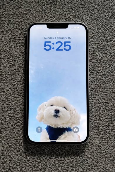 iPhone 14 Plus photo 1