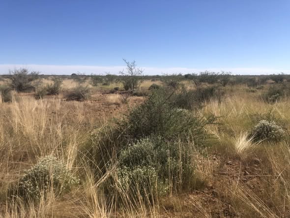 Namibian Farm For Sale photo 4