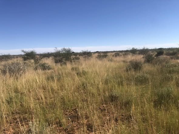 Namibian Farm For Sale photo 3