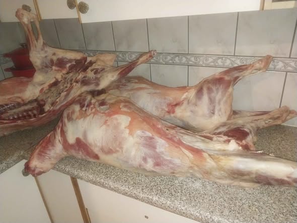 Full lamb carcass photo 2