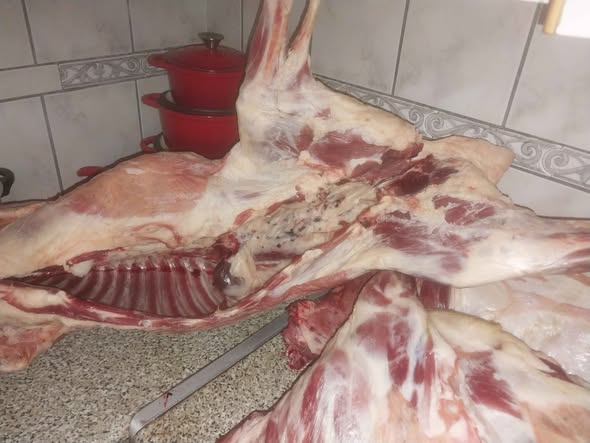 Full lamb carcass photo 1