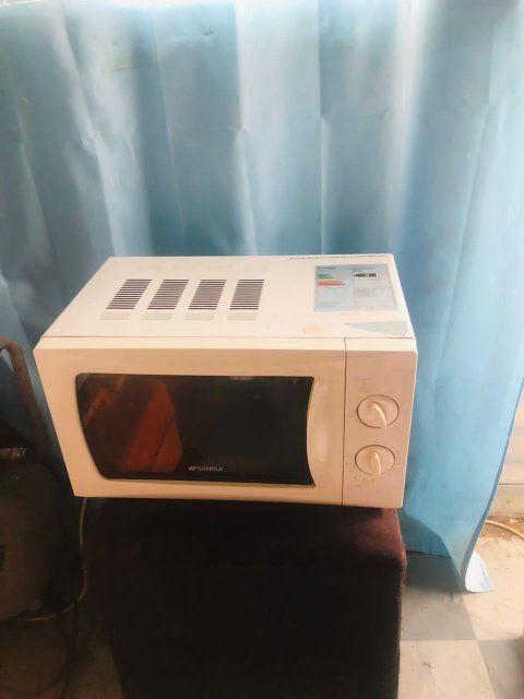 Microwave photo 1
