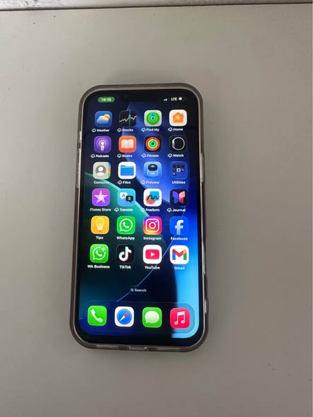 iPhone 13 Pro Max photo 2
