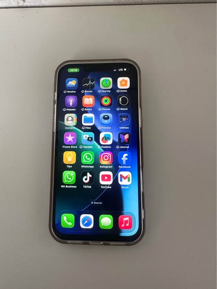 iPhone 13 Pro Max photo 3