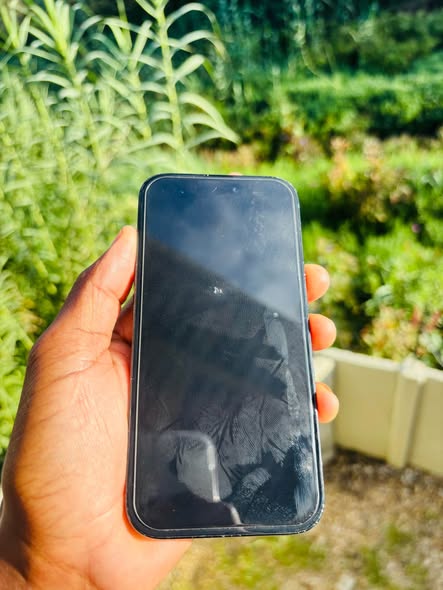 iPhone 16 256GB photo 3