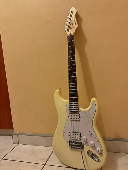 Sanchez Electric guiter photo 2