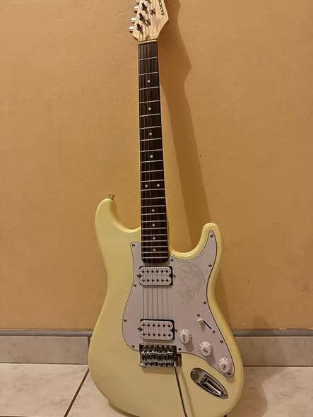 Sanchez Electric guiter photo 3