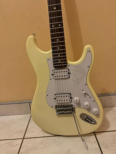 Sanchez Electric guiter photo 1