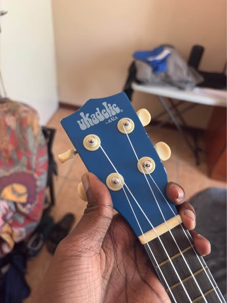 Ukulele photo 3