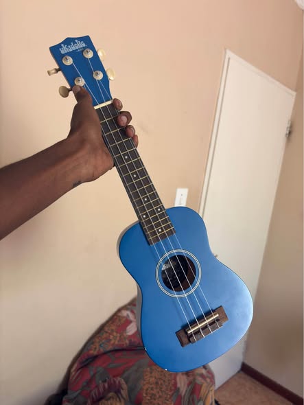 Ukulele photo 2