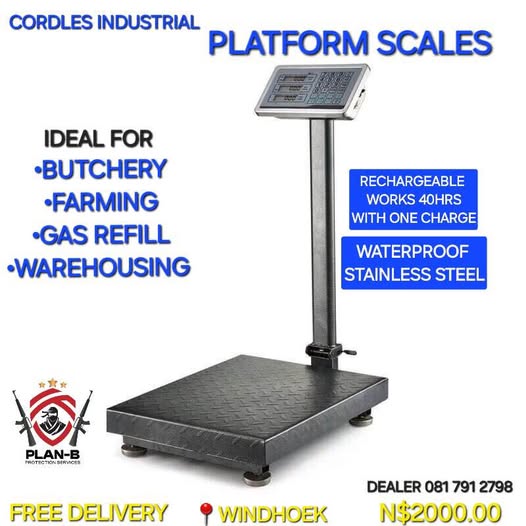 Platform Scales photo 1