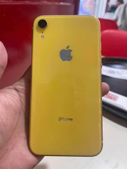 Iphone xR photo 1