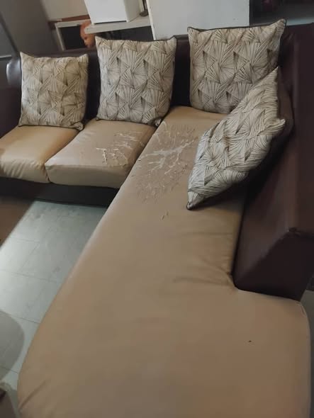 L Shaped Sofa photo 1