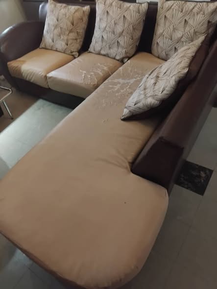 L Shaped Sofa photo 5
