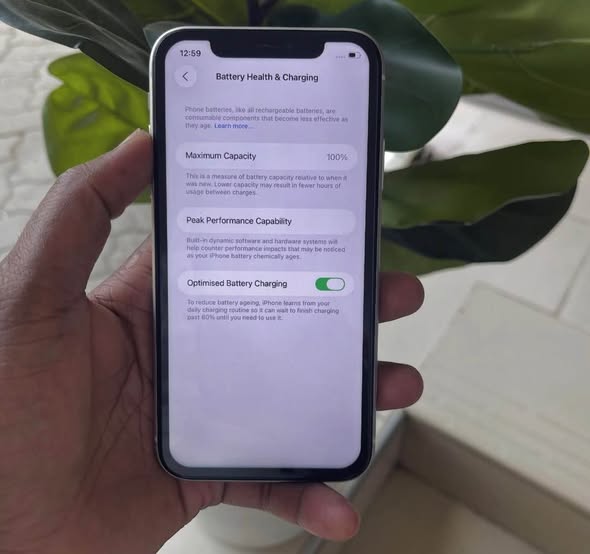 iPhone 11 photo 4
