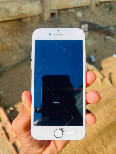 iPhone 7 photo 3