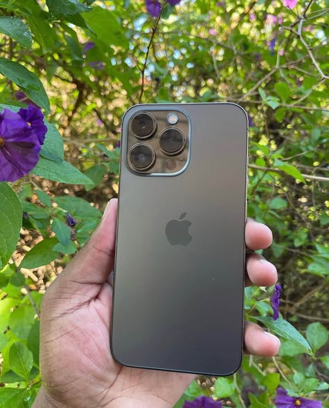 iPhone 13 Pro Max photo 2