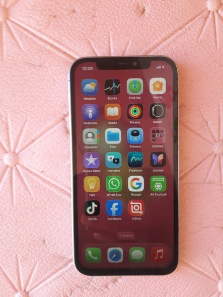 Iphone 12 pro max photo 4