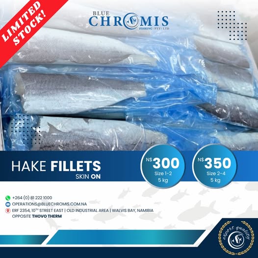 Hake Fillets photo 1