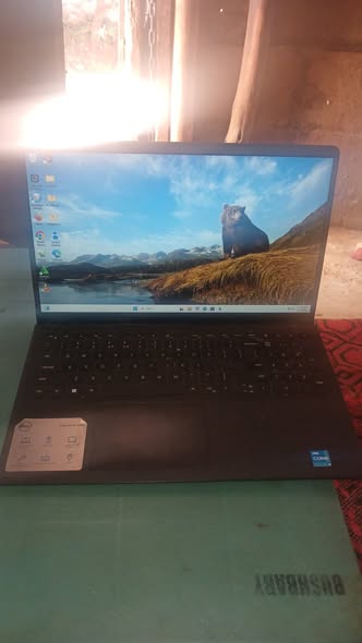 Dell photo 1