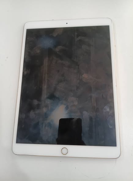 Ipad photo 1