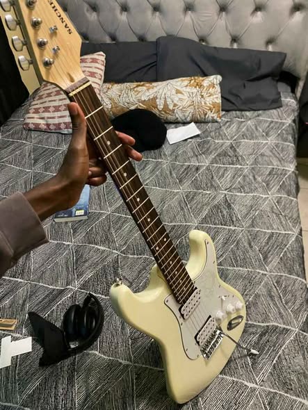 Electric Guitar photo 2