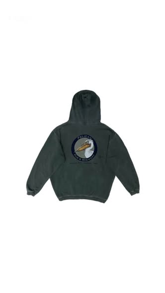 Pelican Hoodie photo 2