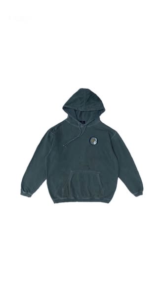Pelican Hoodie photo 1
