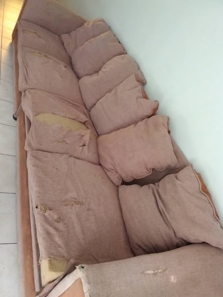 Couch photo 1