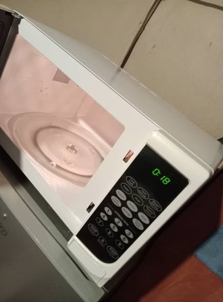 Microwave photo 2