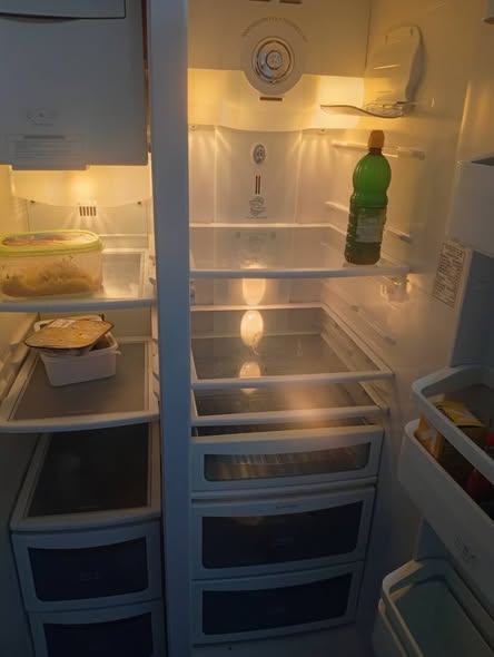 Fridge photo 2