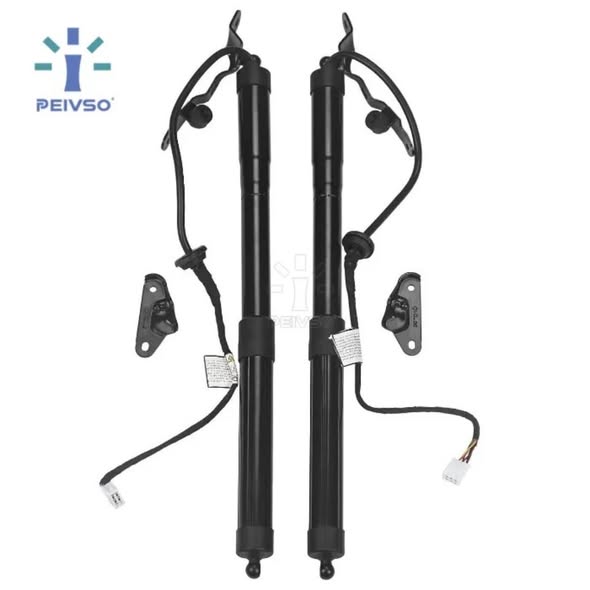 Boot shocks or boot struts photo 1