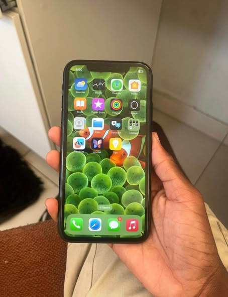 iPhone XR photo 3