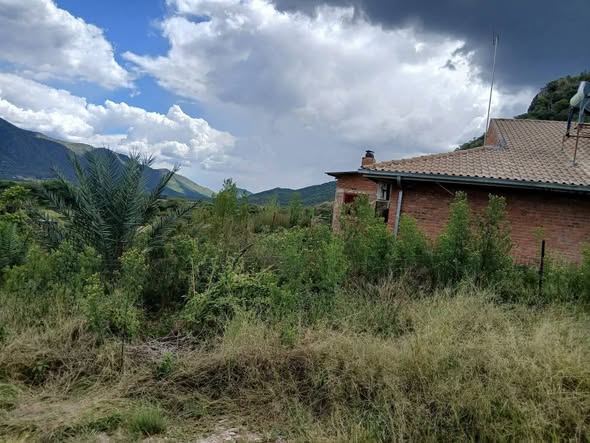 FARM FOR SALE photo 3