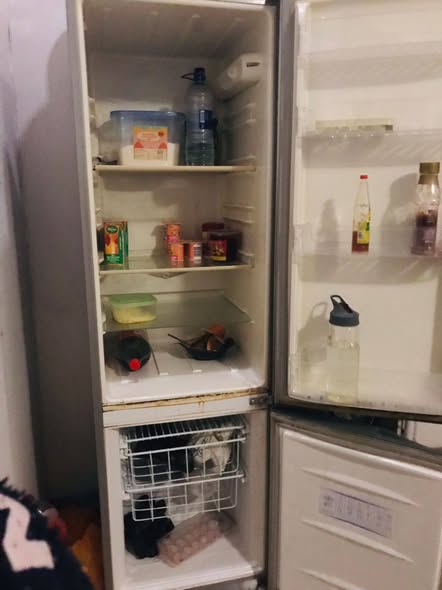Fridge photo 2